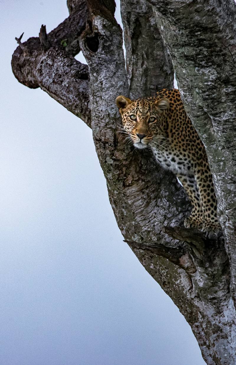 Source Africa Discoveries 1DX30255-Edit 24