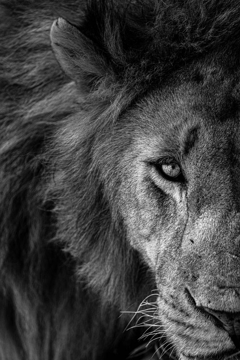 Source Africa Discoveries 1DX30394-Edit-2 45