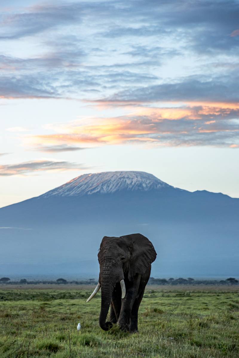 Source Africa Discoveries FHX30026 69