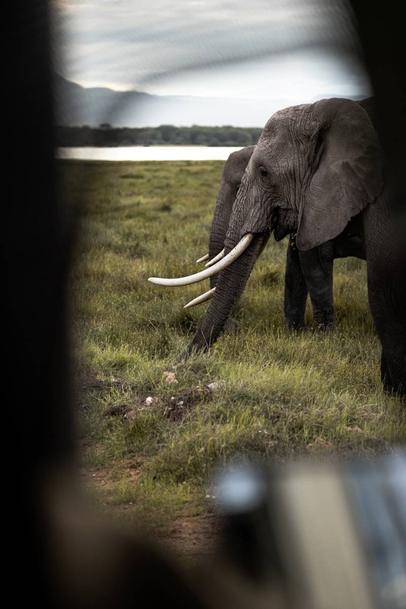 Source Africa Discoveries FHX30181 80